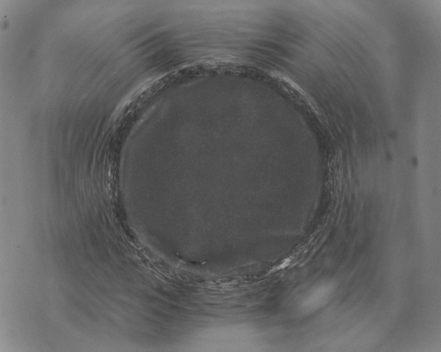 X0000076270919200610191735