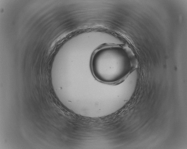 X0000076270920200610191735