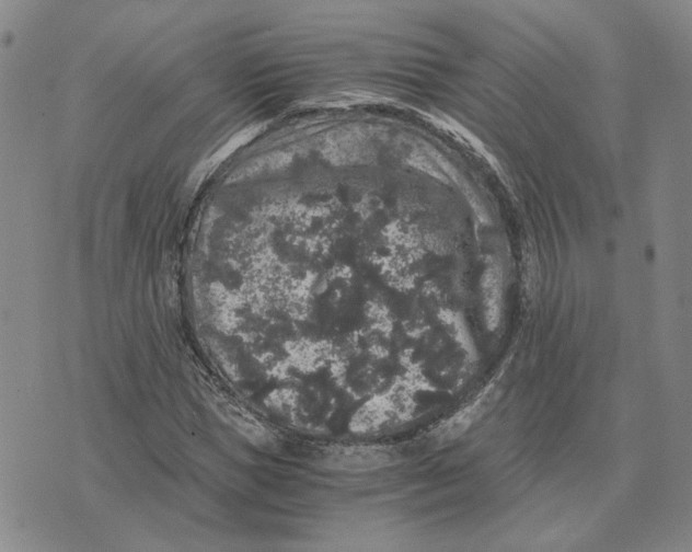 X0000076270921200610191735