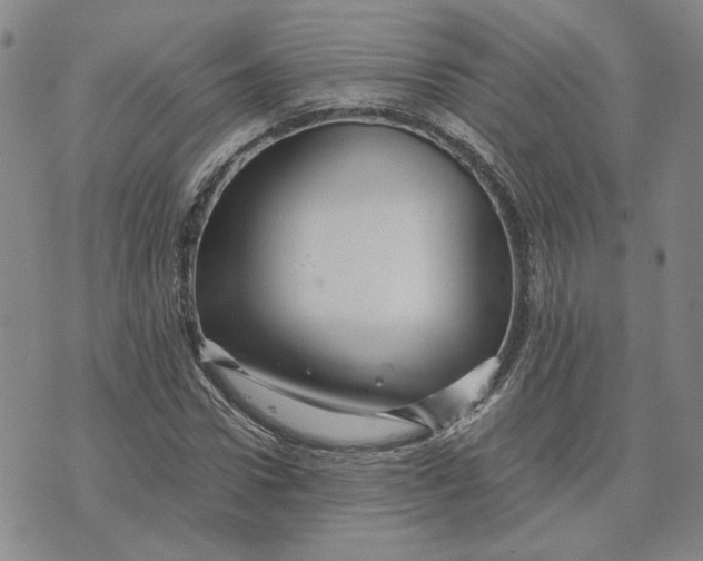 X0000076270922200610191736