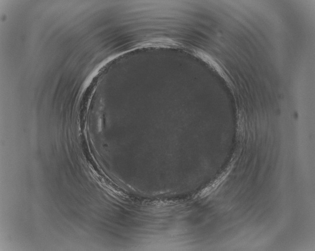 X0000076270923200610191736