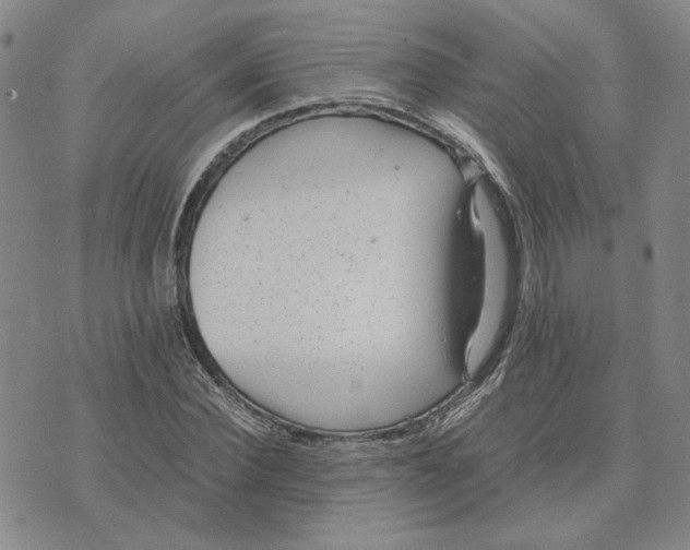 X0000076270924200610191736