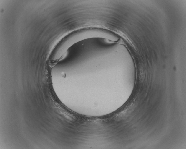 X0000076270926200610191736