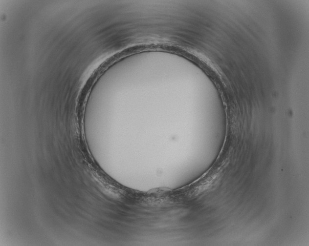 X0000076270927200610191736