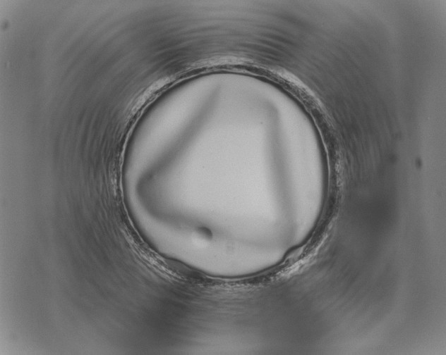 X0000076270929200610191736