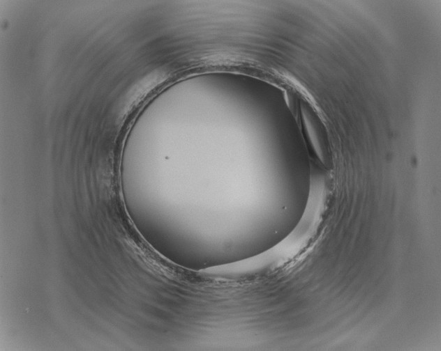 X0000076270930200610191736