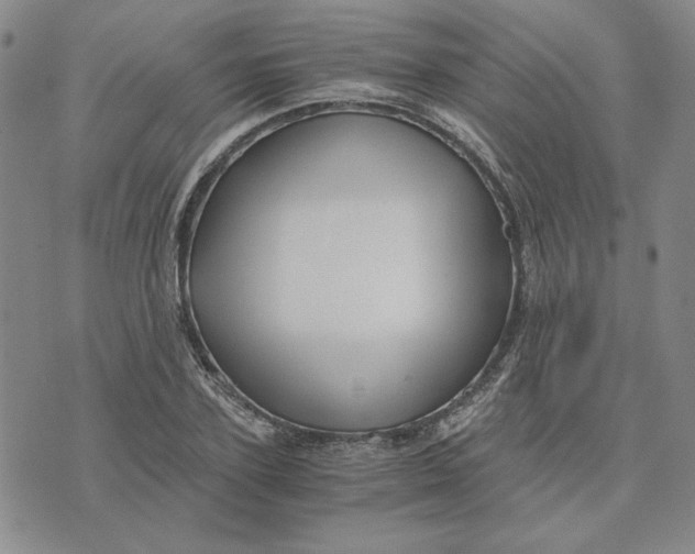 X0000076270931200610191736