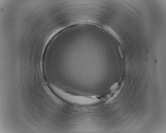 X0000076270932200610191736