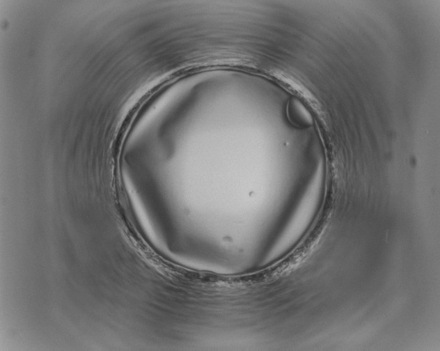 X0000076270933200610191736