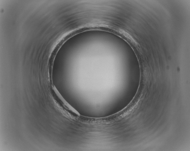 X0000076270934200610191736