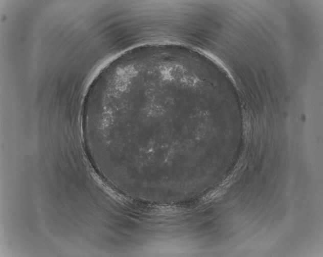 X0000076270935200610191736