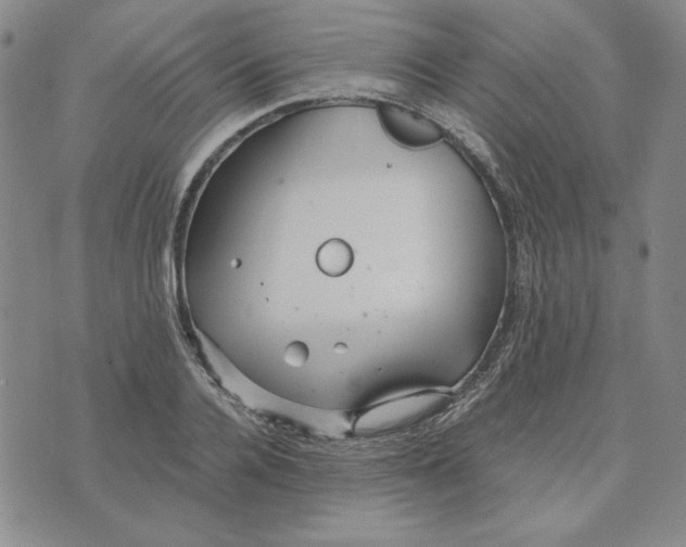 X0000076270936200610191736