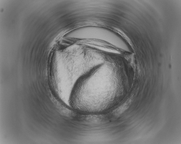 X0000076270938200610191736