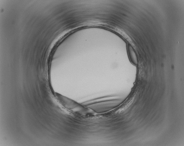 X0000076270939200610191736