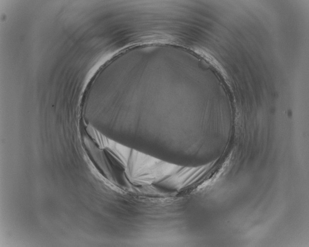 X0000076270941200610191736