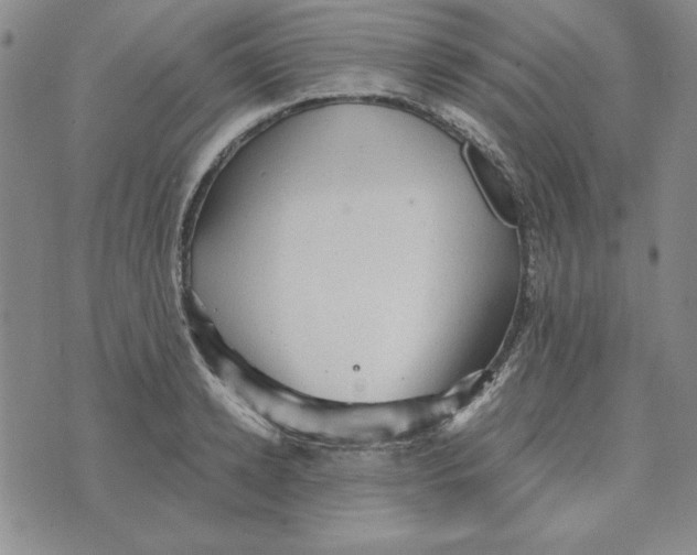 X0000076270942200610191736