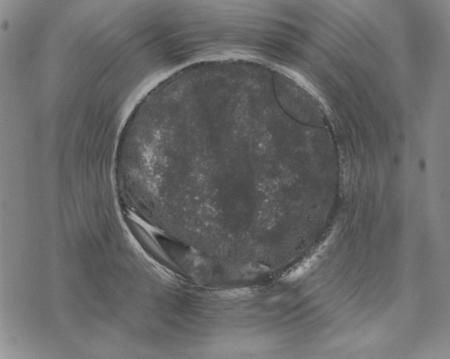 X0000076270943200610191736