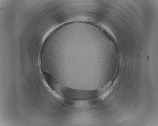 X0000076270944200610191736