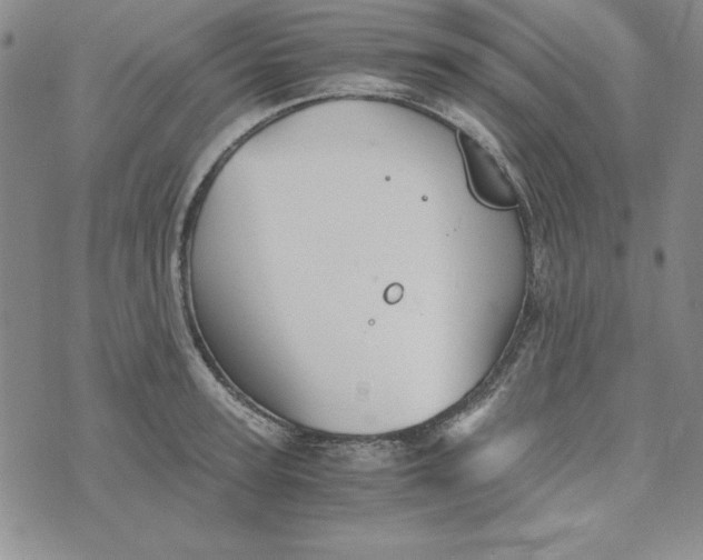 X0000076270947200610191736