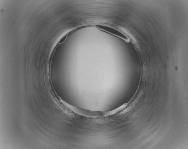 X0000076270948200610191736