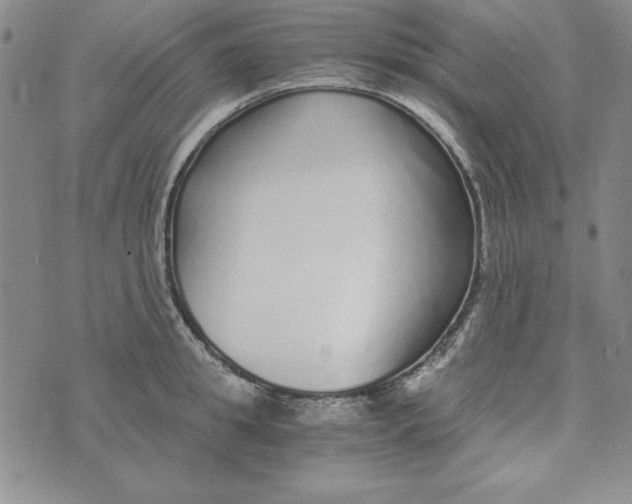 X0000076270949200610191736