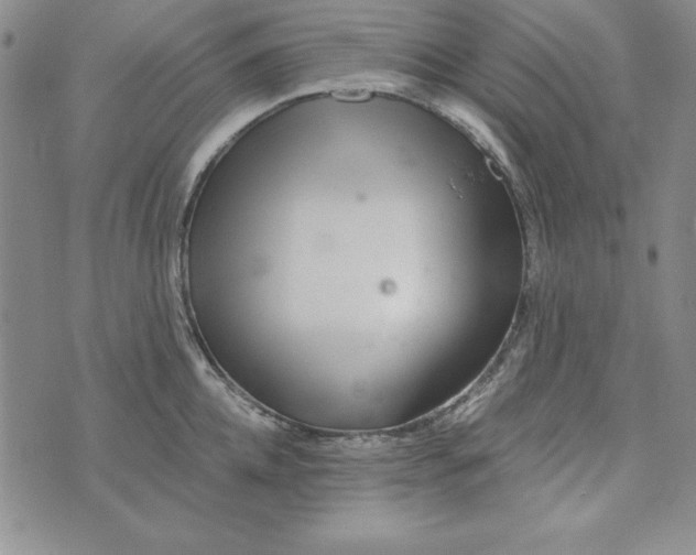 X0000076270952200610191736