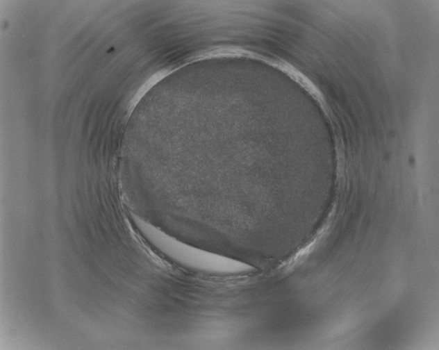 X0000076270953200610191736