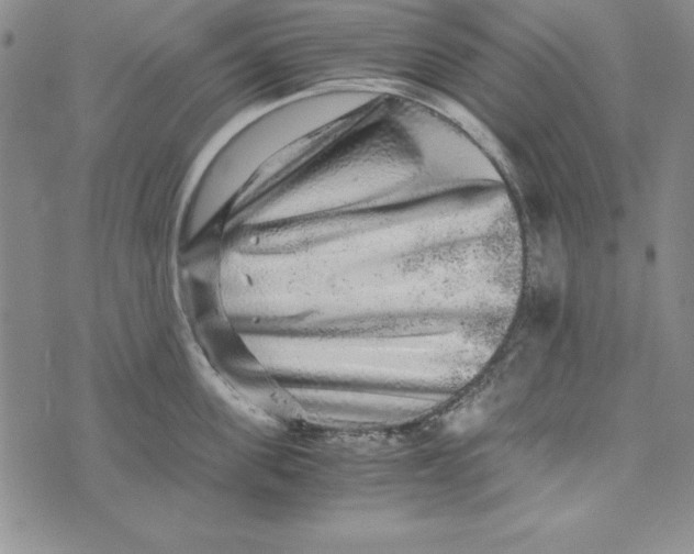 X0000076270955200610191736