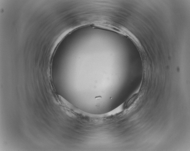 X0000076270956200610191736