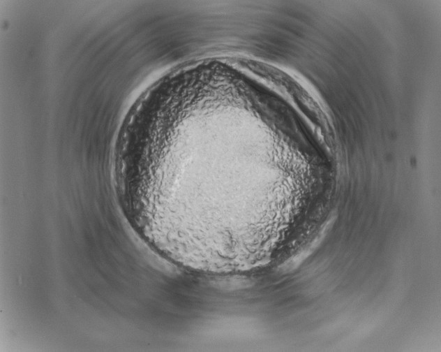 X0000076270957200610191736