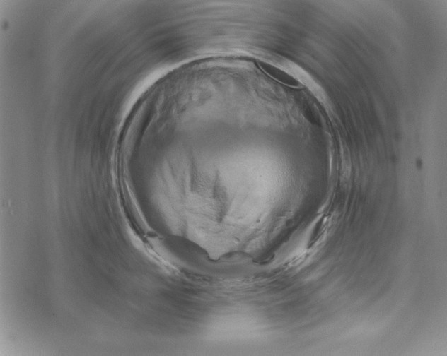 X0000076270958200610191736