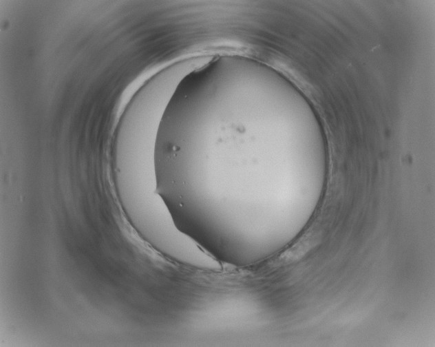 X0000076270960200610191736