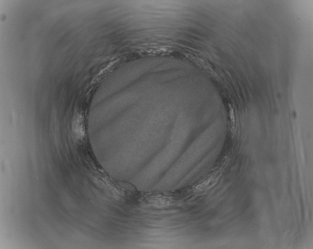 X0000076270962200610191735