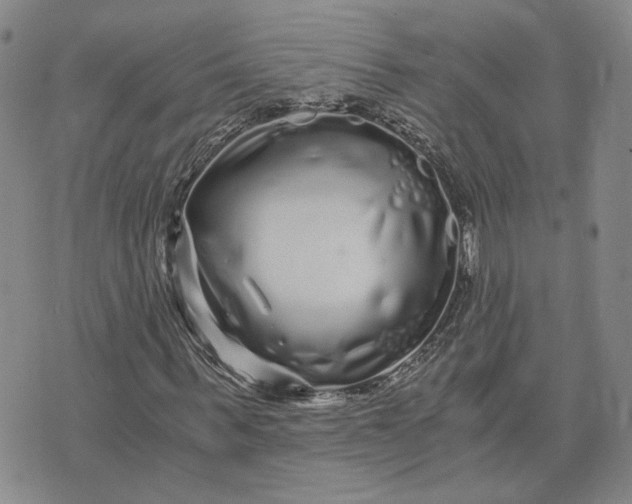 X0000076270963200610191735