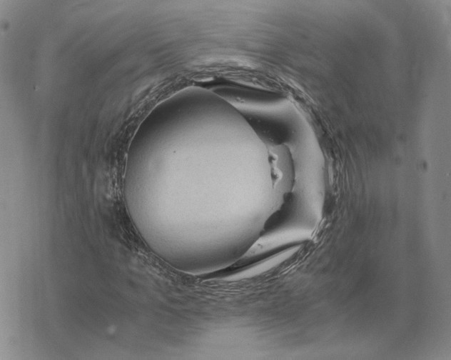 X0000076270965200610191735