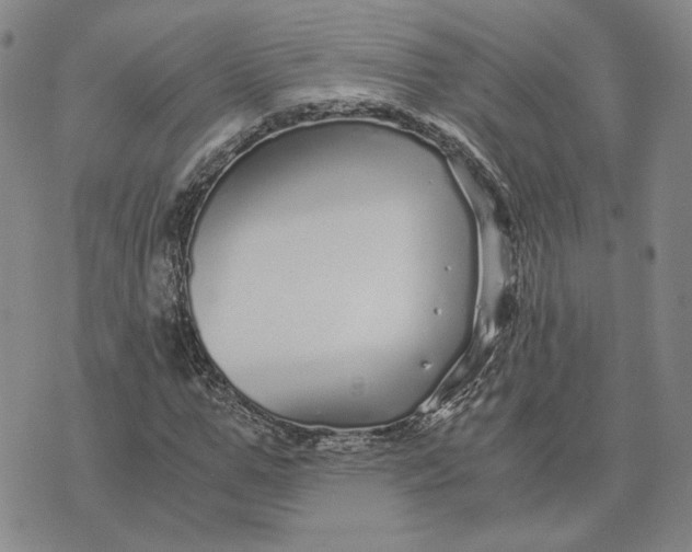 X0000076270967200610191735