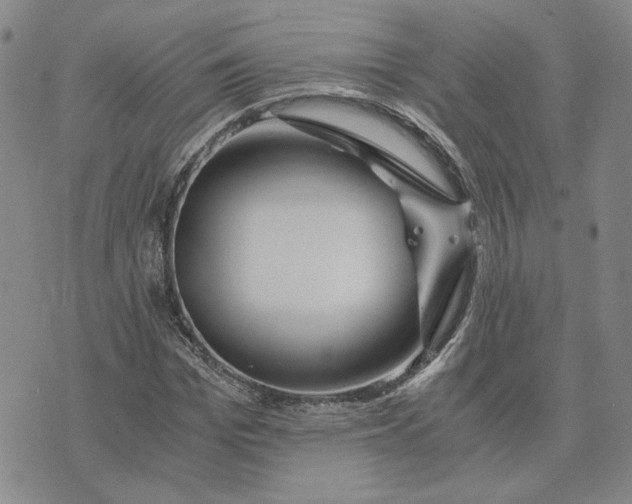 X0000076270969200610191735