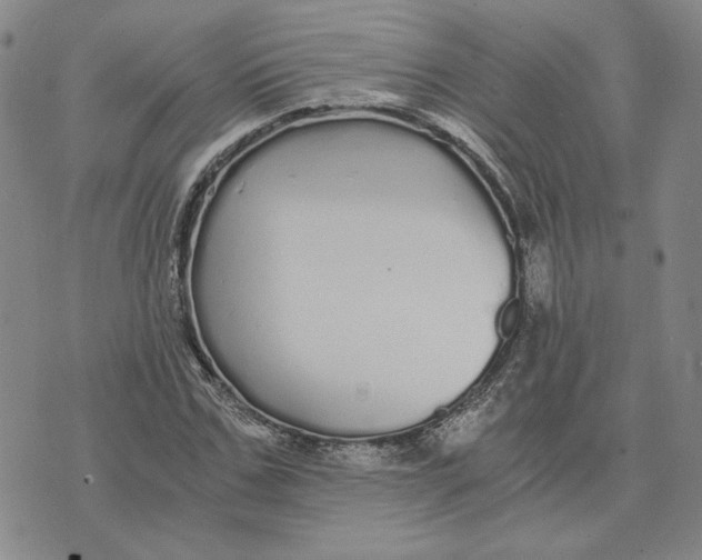 X0000076270971200610191735