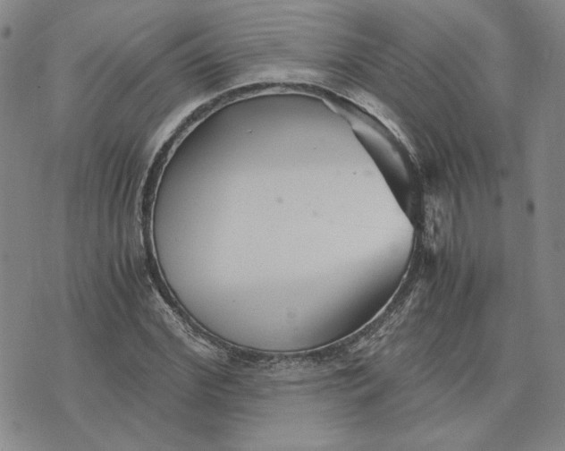 X0000076270972200610191735