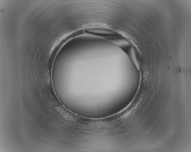 X0000076270973200610191735