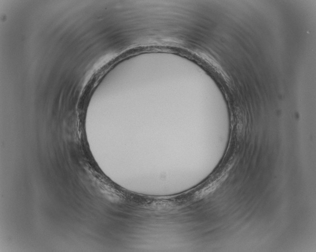 X0000076270974200610191735