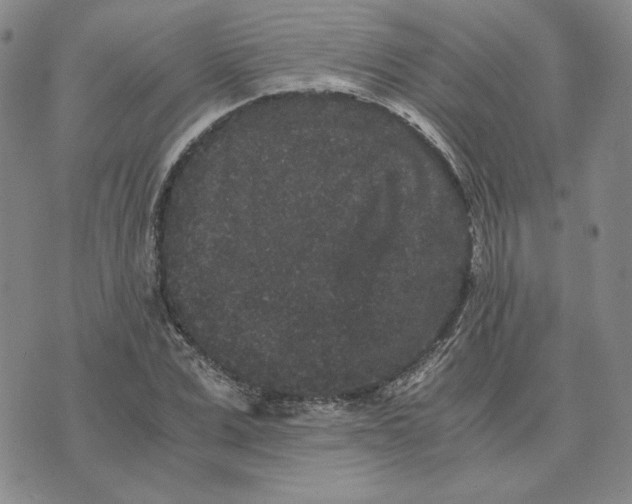 X0000076270975200610191735