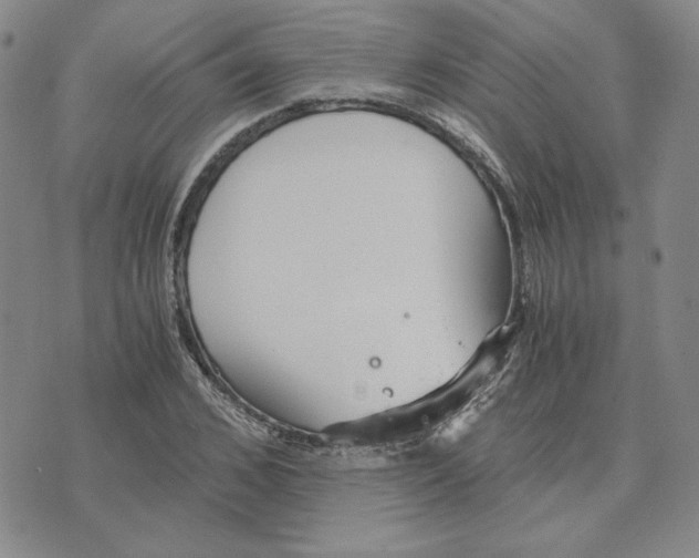 X0000076270976200610191735