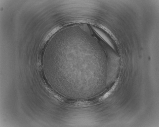 X0000076270977200610191735