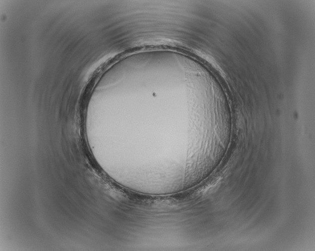 X0000076270979200610191735