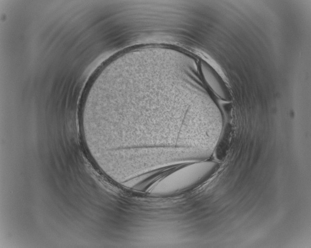 X0000076270980200610191735