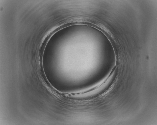 X0000076270981200610191735