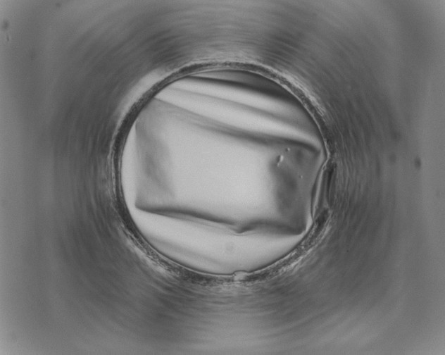 X0000076270982200610191735