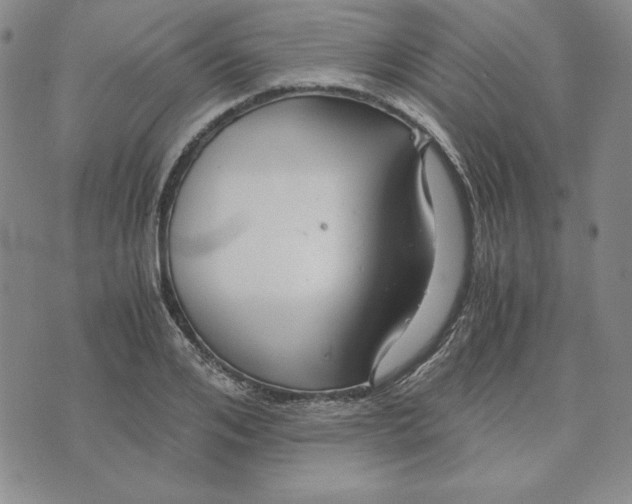 X0000076270984200610191735