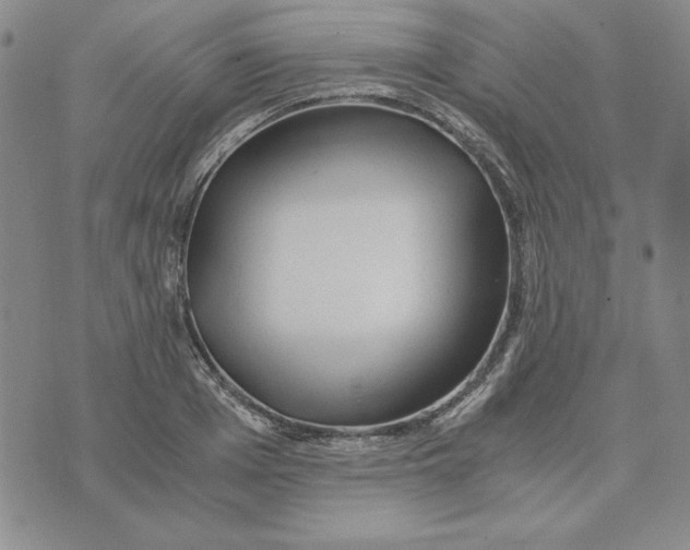 X0000076270985200610191735